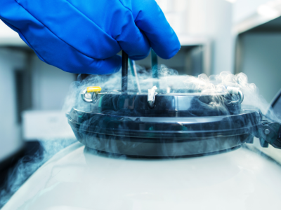 Liquid Nitrogen Supply